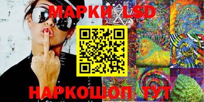 СК Новозыбков