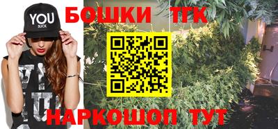 СК Новозыбков