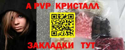 СК Новозыбков