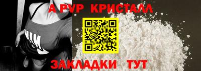СК Новозыбков