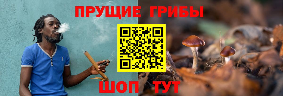 Спасск-Дальний  закладки  Вход с VPN  Псилоцибиновые грибы Cubensis  Галлюциногенные грибы Psilocybine cubensis 